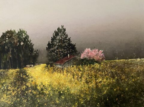 Catherine Anderson’s Studio